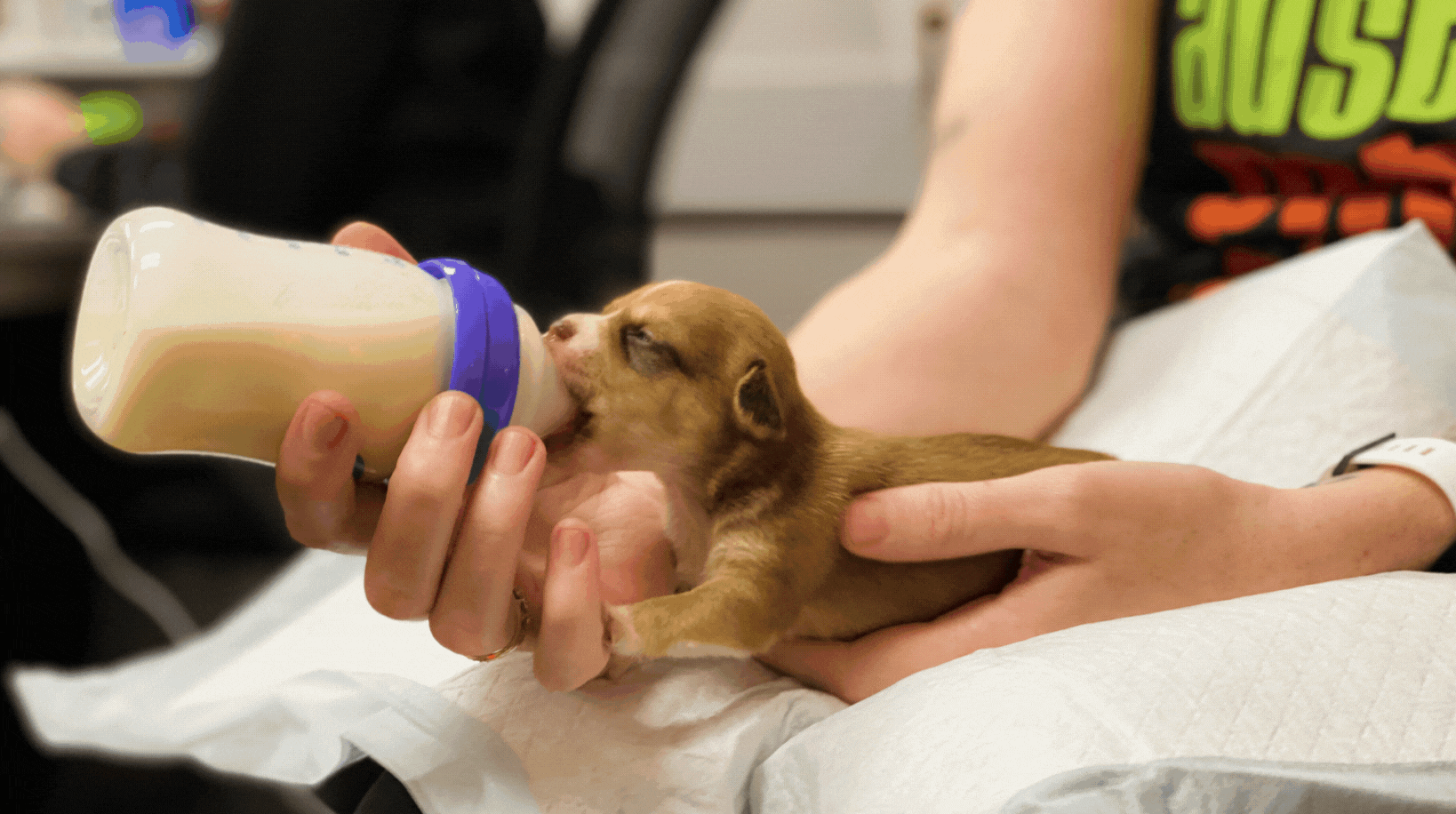 BottleBabyBanner
