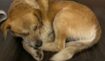 1993b3144400ea84f70d61e488580778