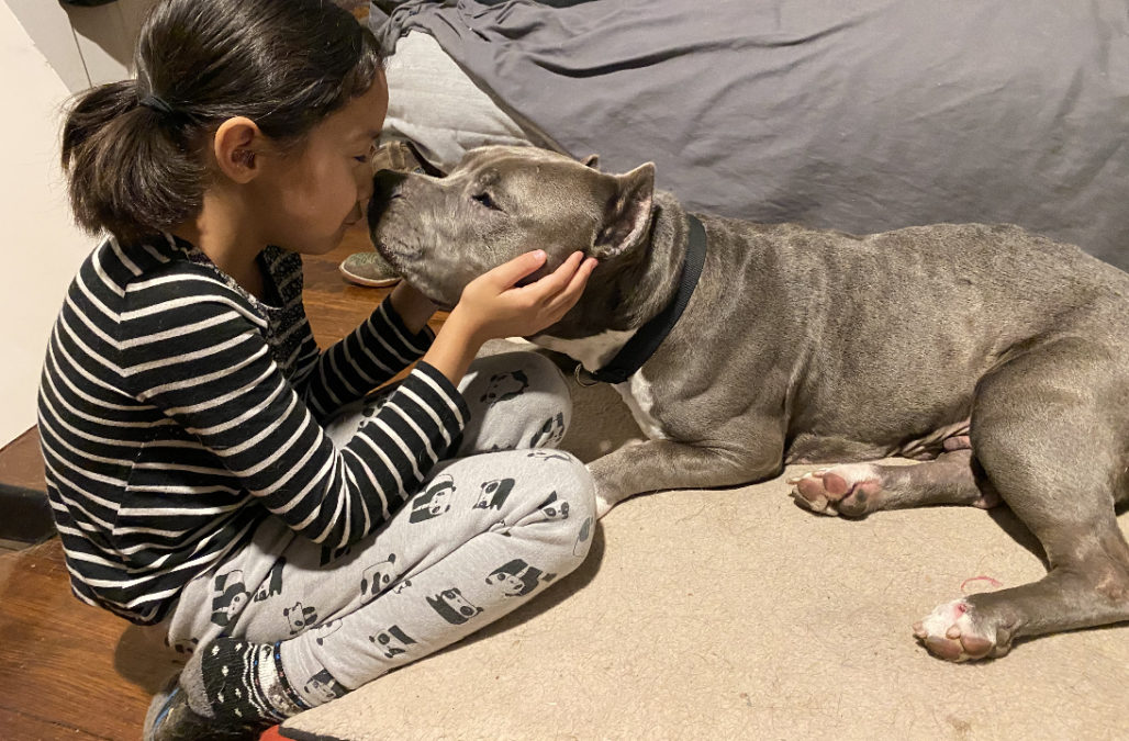 2019 12 16 06 22 23 Janet 76743243 Photo1