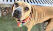 399315a0dc147681cb2c27d22488a411