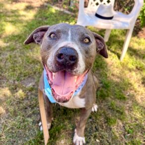 44716b541488a8ba8c279d1eda75ddd0