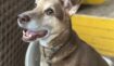 5c72012858f7c9cbccc0b47cc81a450a