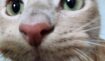 761137f7eb51115fff3cd4cb3bbd78e3