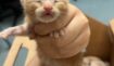 A96d72fd9f84cd59e811beeb6ac8ff45