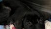 Bae71479a64ddcf3a6a65ef8b29d727e