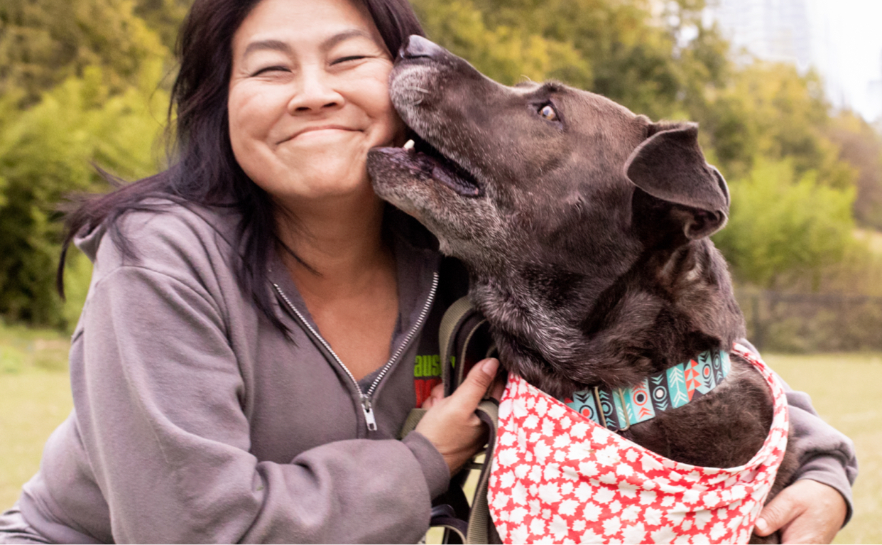 Foster Banner