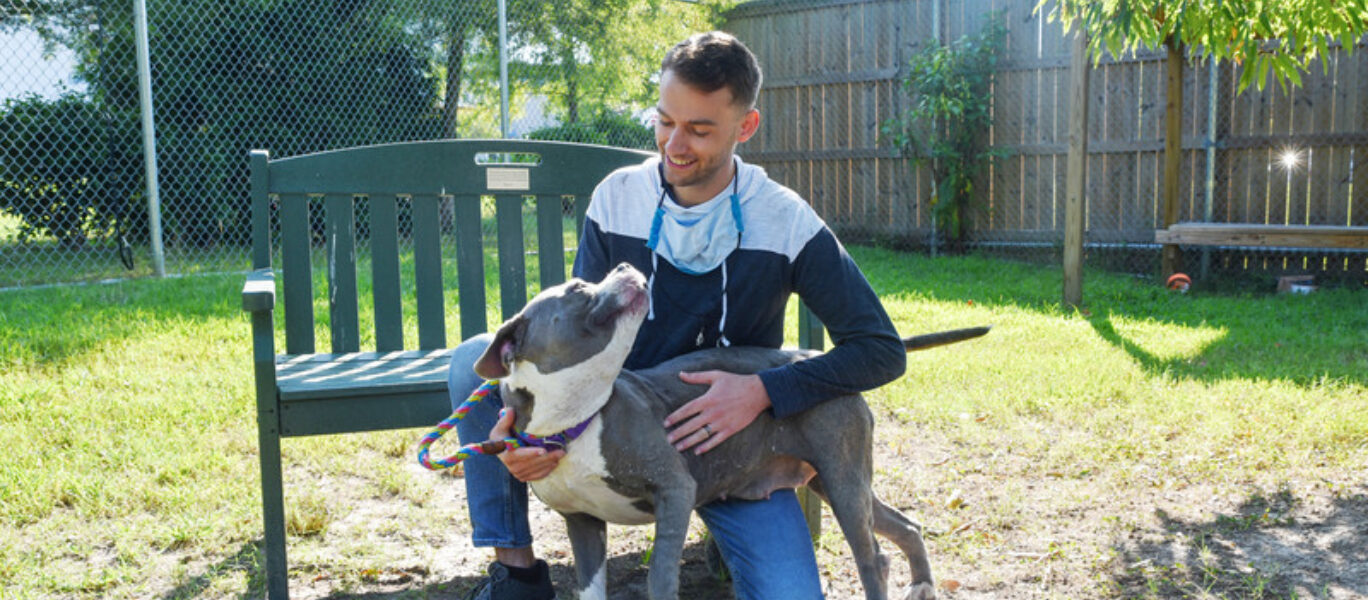 Dog With Volunteer