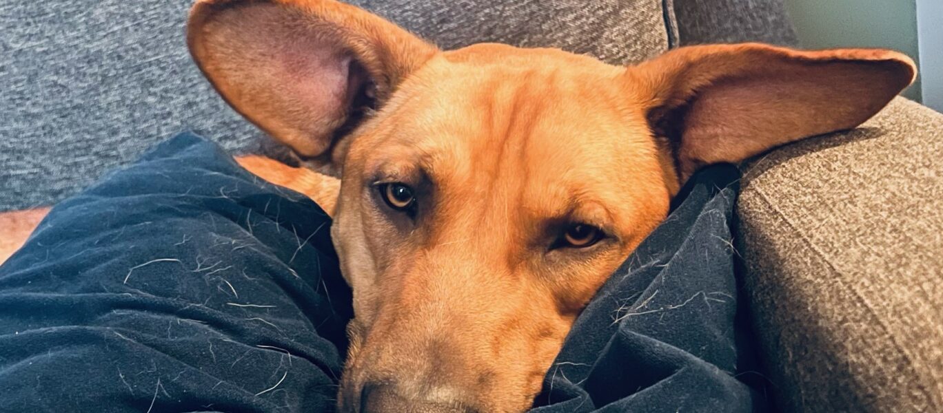 Loki3