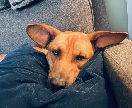 Loki3