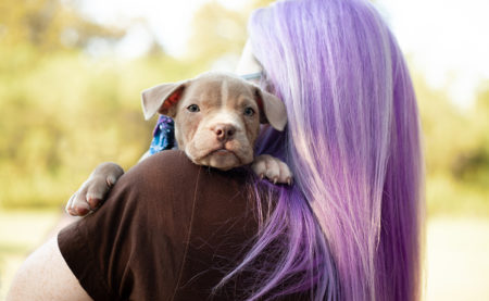 Puppy being held
