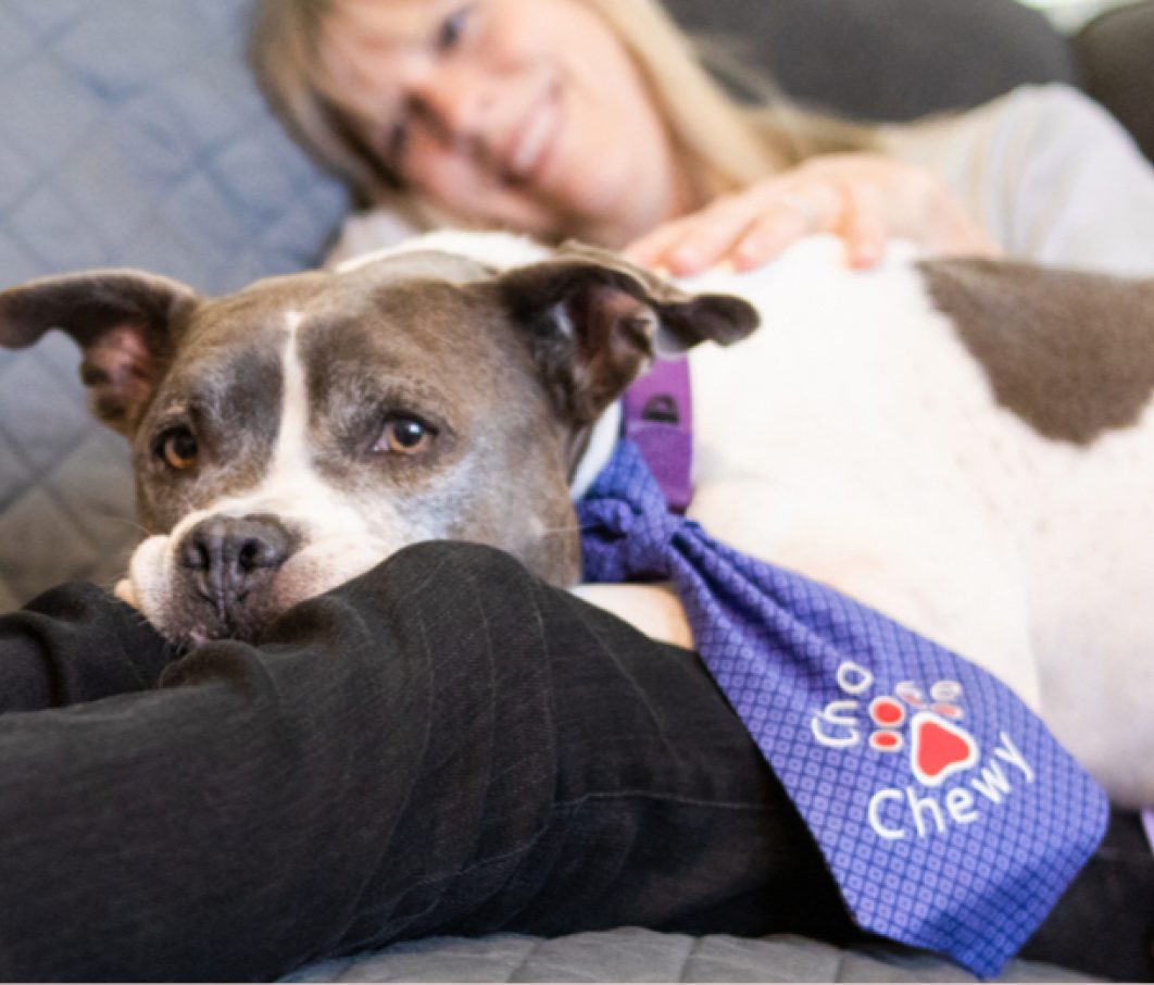 Whyfoster Dog