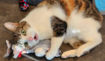 20240928153244
