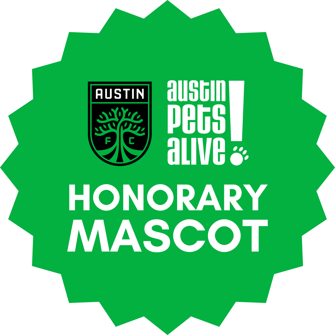 AFC Mascot Icon