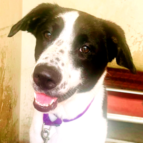 Afec0a39a00aff83afb0463a38d944e7