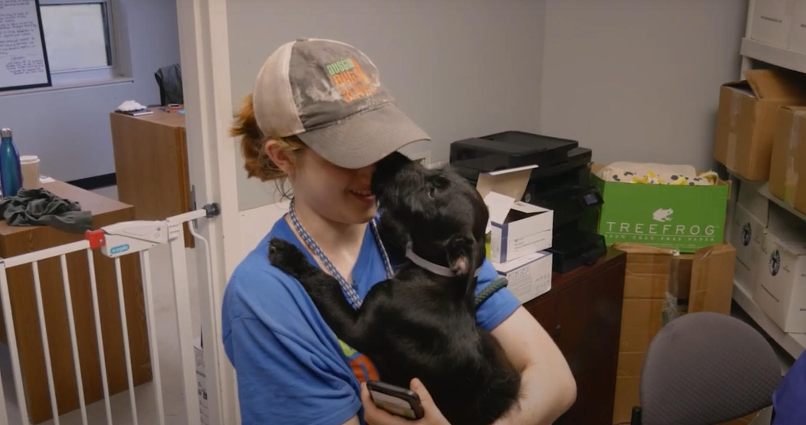 APA Dog Team