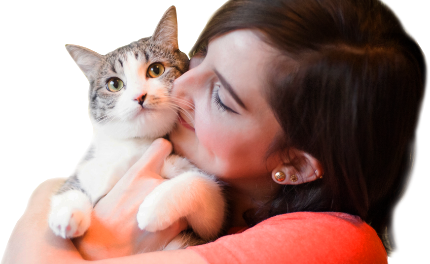 Cat Snuggles
