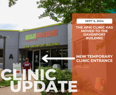 Clinic