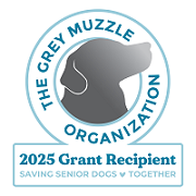 Grey Muzzle