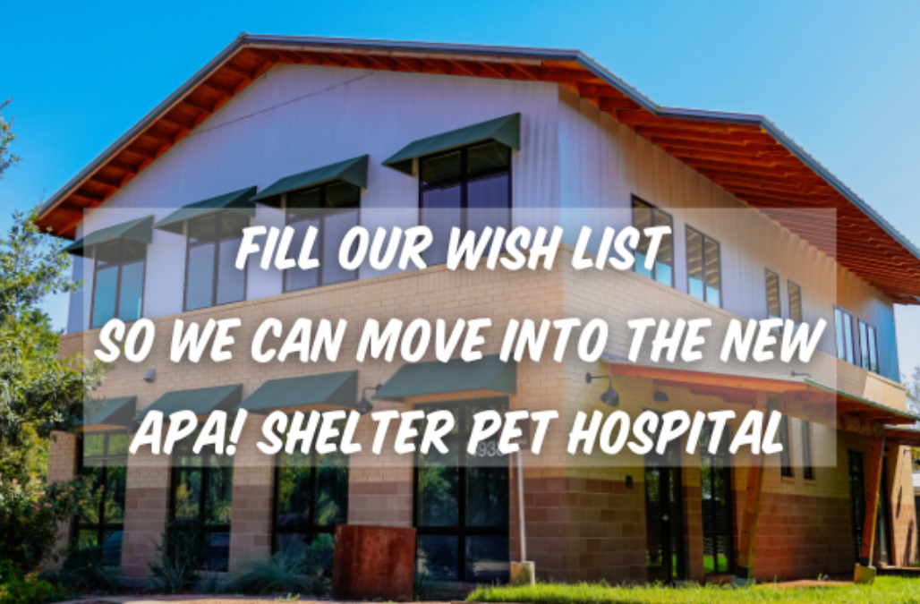 Hospital Wish List