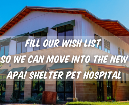 Hospital Wish List