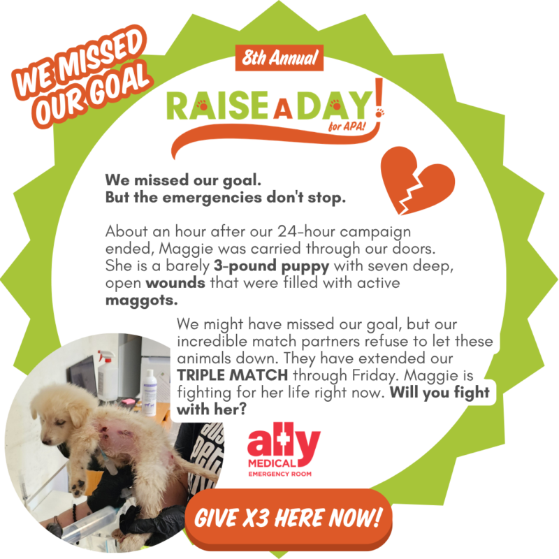 RAD Raise A Day 2026 web pop up