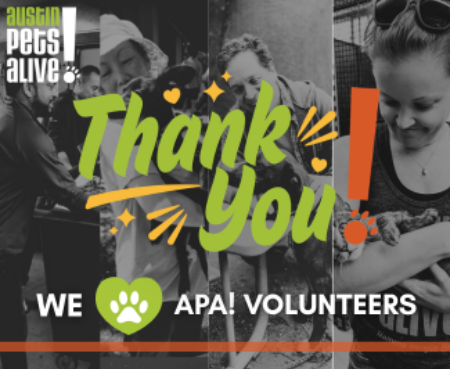 Volunteer appreciation week Blog Thumbnail