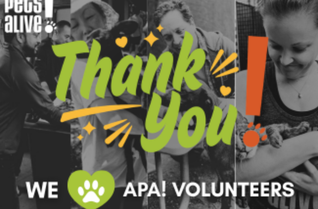 Volunteer appreciation week Blog Thumbnail
